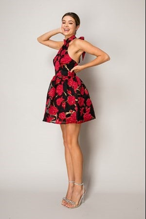 Shop Party Red Dress – Glamour in Every Stitch
