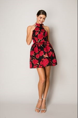 Shop Party Red Dress – Glamour in Every Stitch
